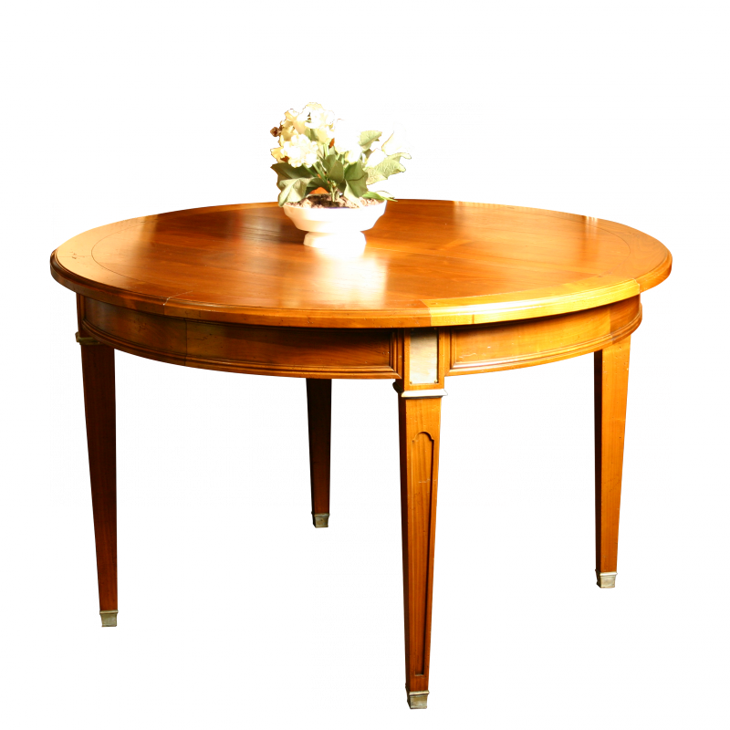 Dining table Victor Directoire style